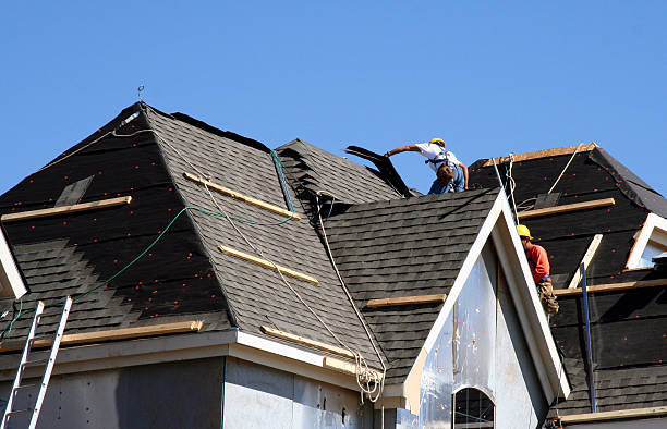 Best Shingle Roofing Installation  in Gladwin, MI