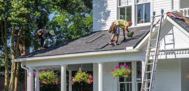 Best Roof Gutter Cleaning  in Gladwin, MI